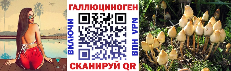 Псилоцибиновые грибы мухоморы  где можно купить   Володарск 